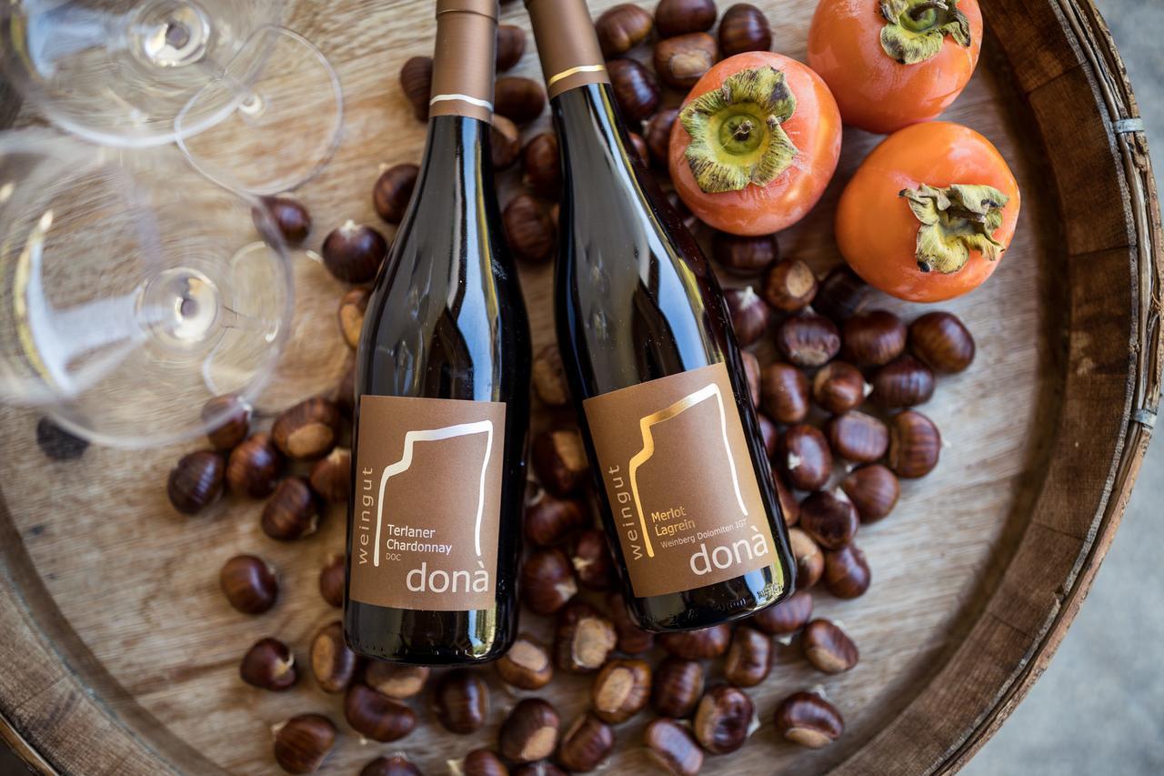 Weingut Donà Vila Appiano Sulla Strada Del Vino Exterior foto