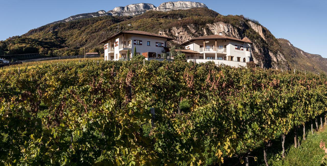 Weingut Donà Vila Appiano Sulla Strada Del Vino Exterior foto