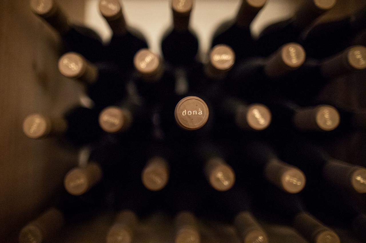 Weingut Donà Vila Appiano Sulla Strada Del Vino Exterior foto